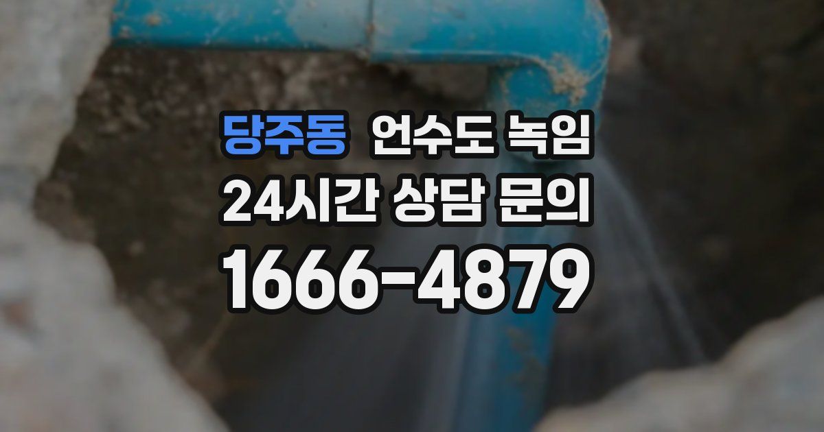 당주동 언수도 녹임