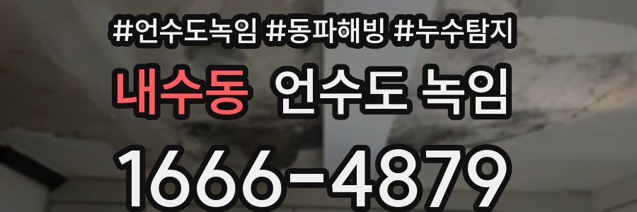 내수동 언수도 녹임