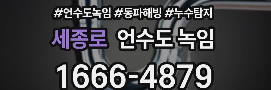 세종로 언수도 녹임