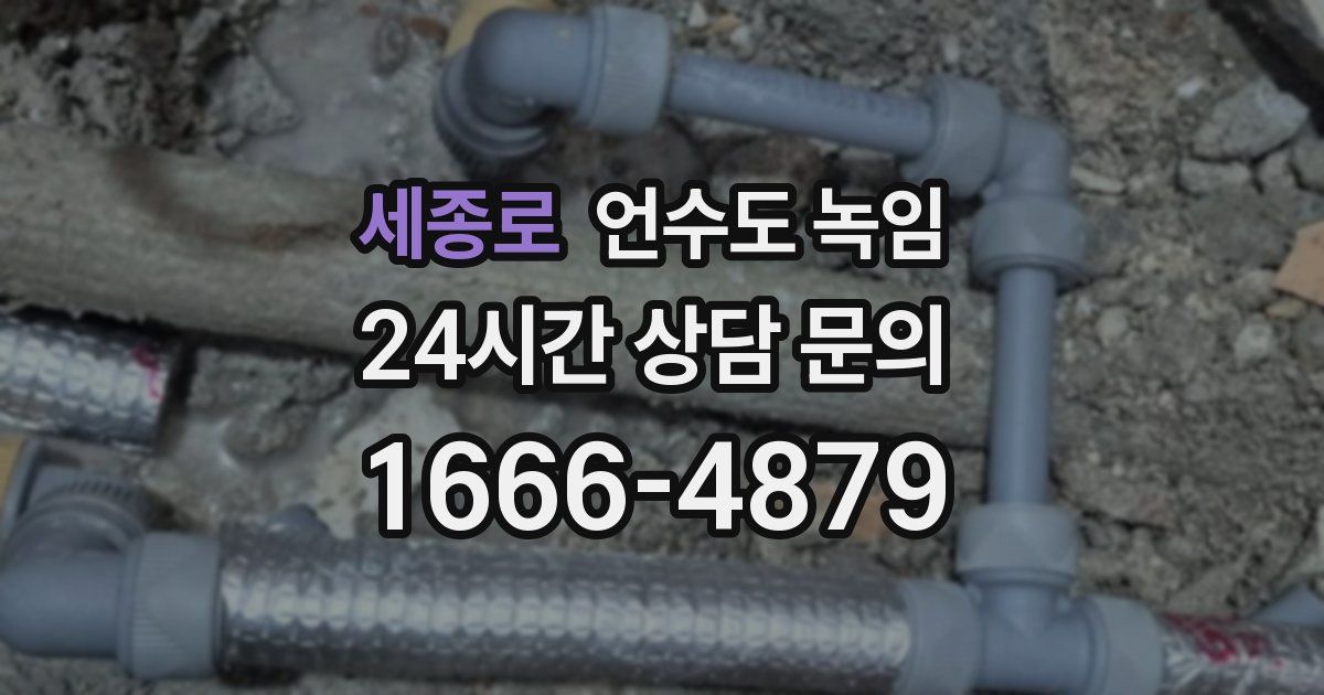 세종로 언수도 녹임