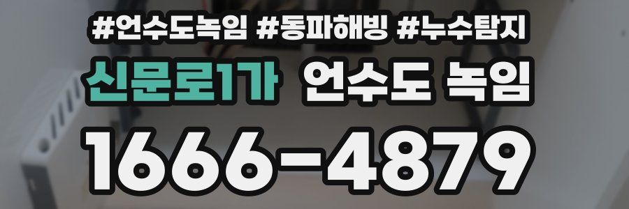 신문로1가 언수도 녹임