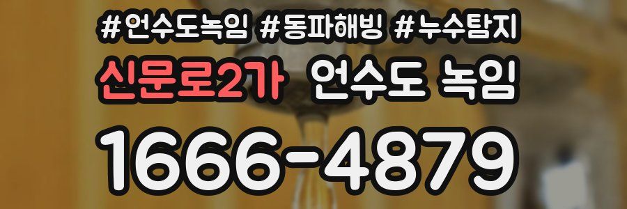 신문로2가 언수도 녹임