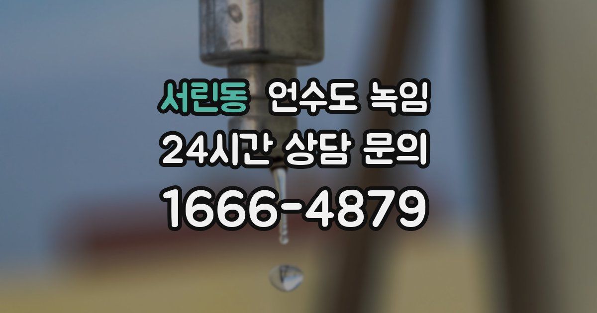 서린동 언수도 녹임