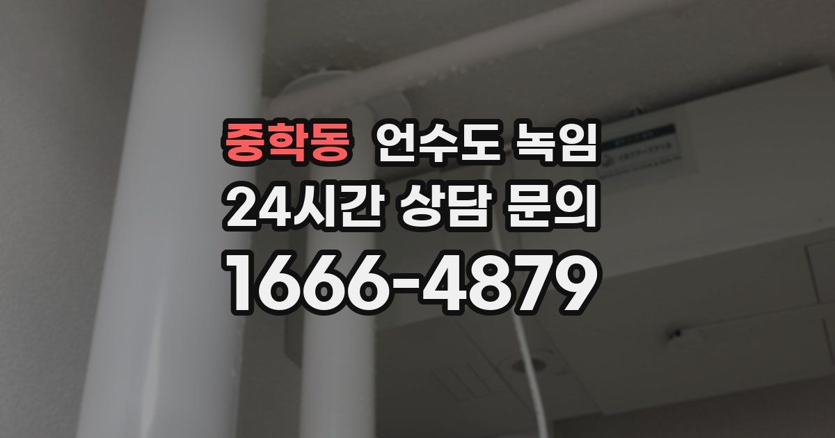 중학동 언수도 녹임