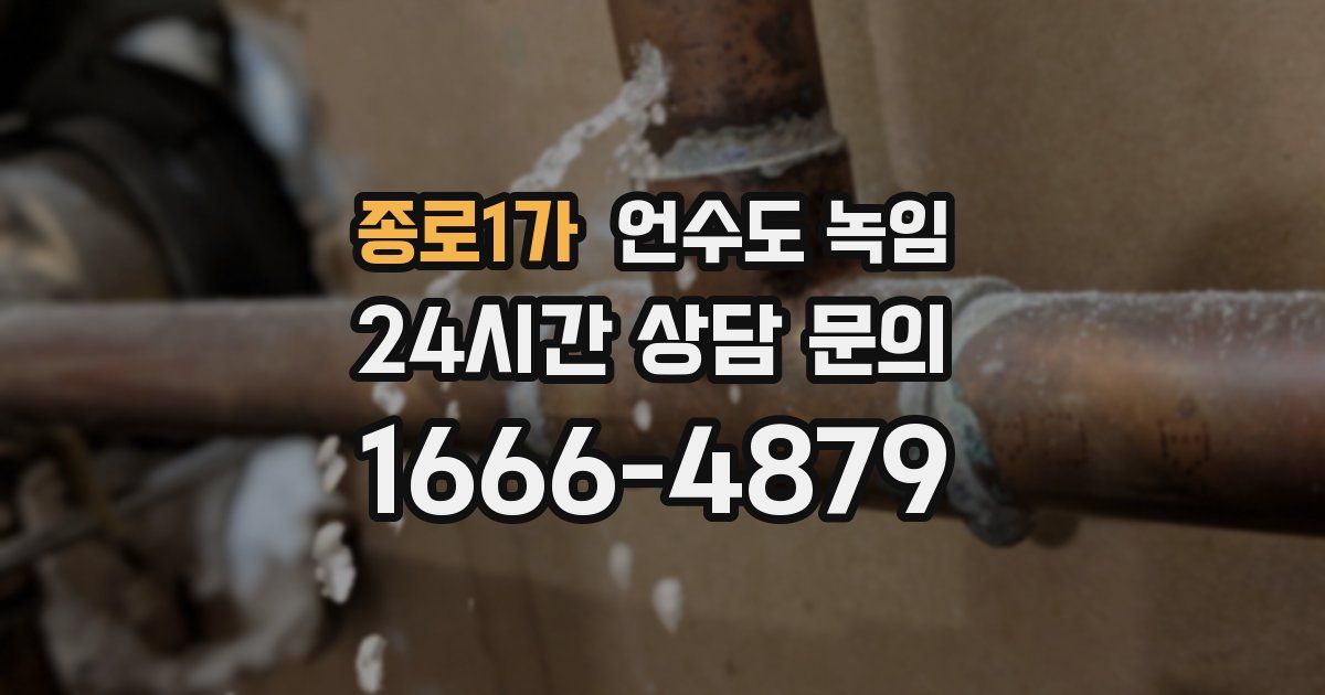 종로1가 언수도 녹임