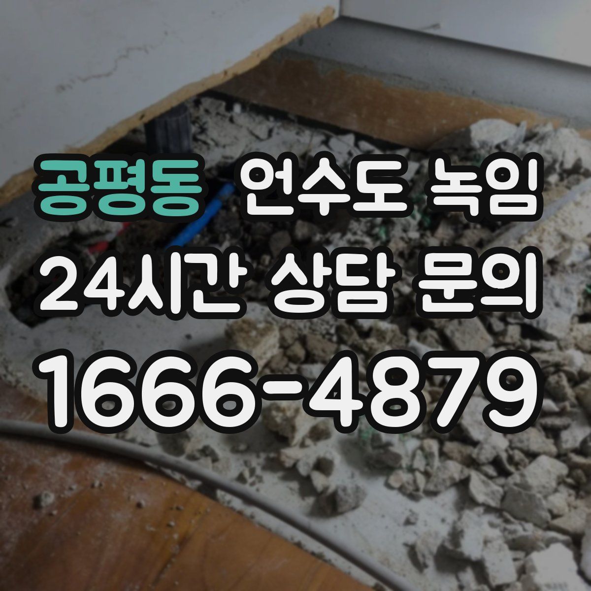 공평동 언수도 녹임