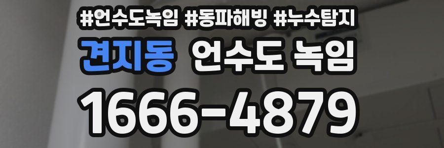 견지동 언수도 녹임