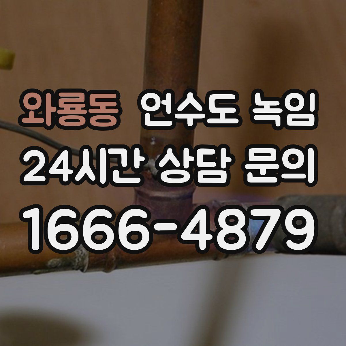 와룡동 언수도 녹임