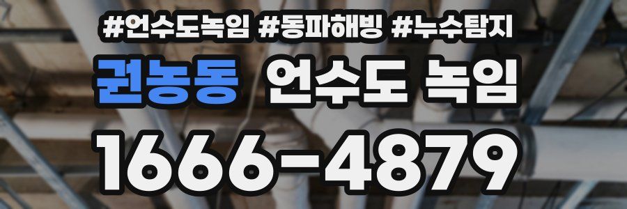 권농동 언수도 녹임