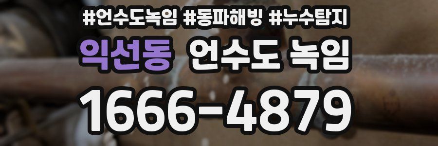 익선동 언수도 녹임