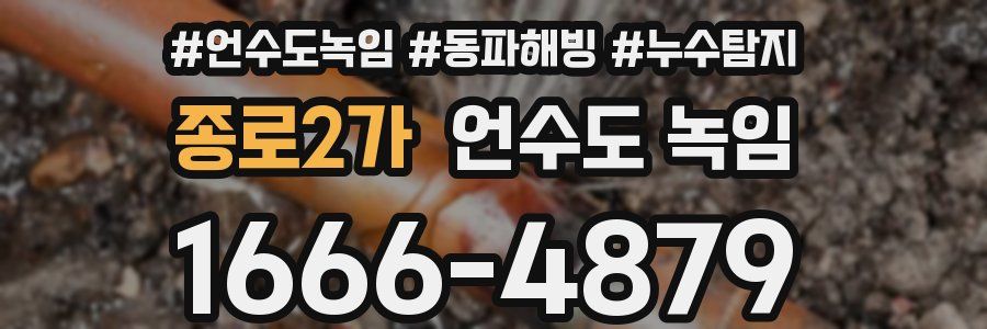 종로2가 언수도 녹임