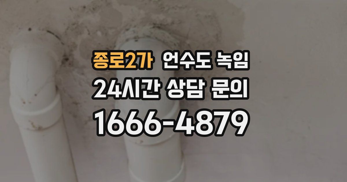 종로2가 언수도 녹임