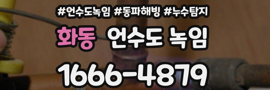 화동 언수도 녹임