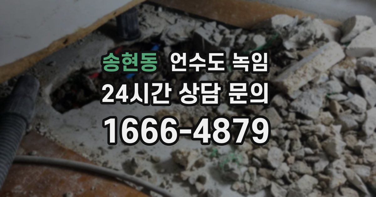 송현동 언수도 녹임