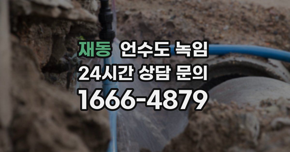 재동 언수도 녹임