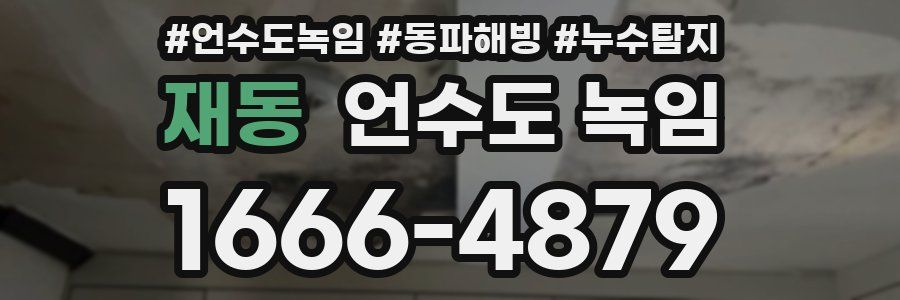 재동 언수도 녹임