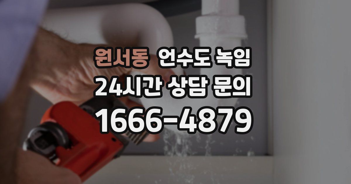 원서동 언수도 녹임