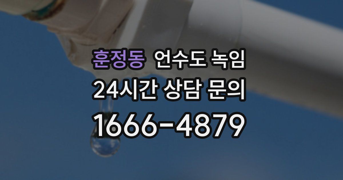 훈정동 언수도 녹임