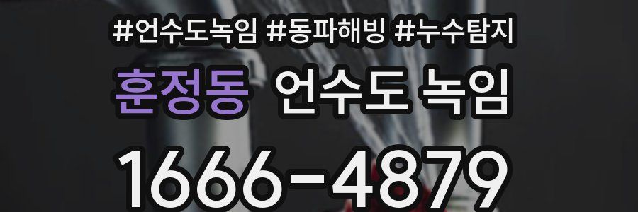 훈정동 언수도 녹임