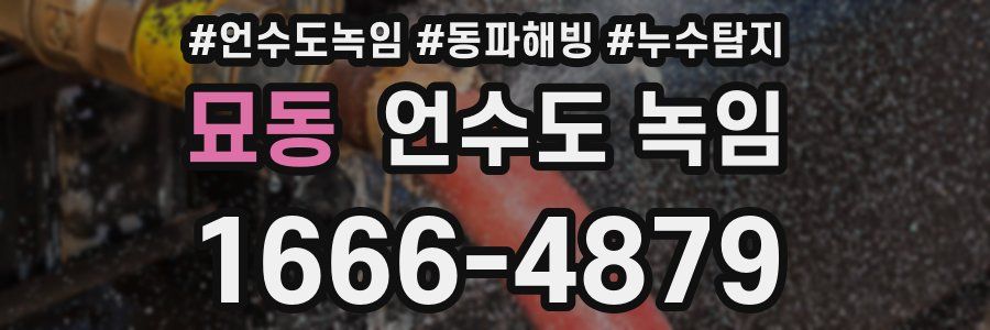 묘동 언수도 녹임