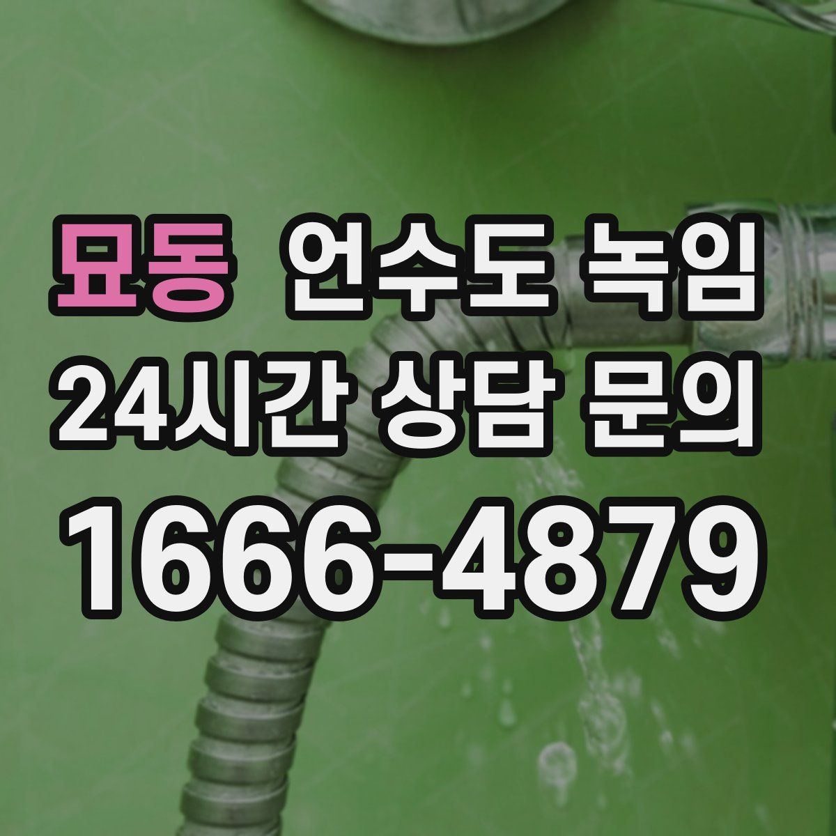 묘동 언수도 녹임