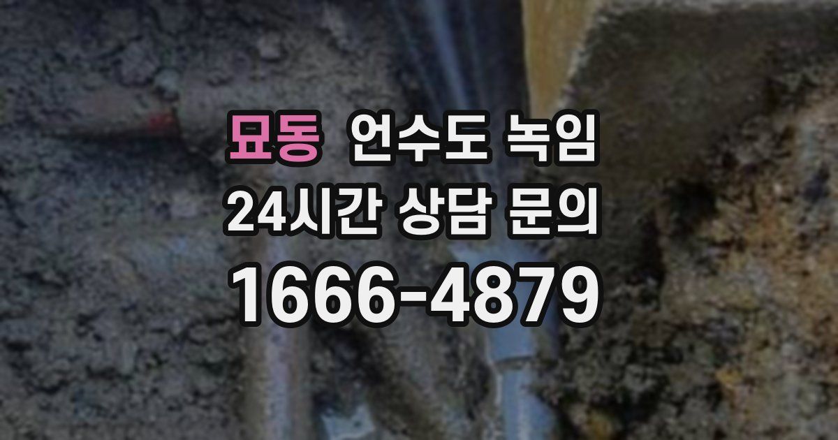 묘동 언수도 녹임