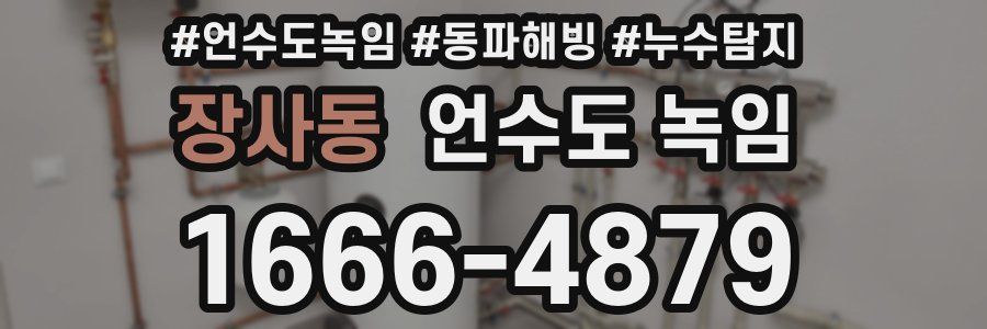 장사동 언수도 녹임