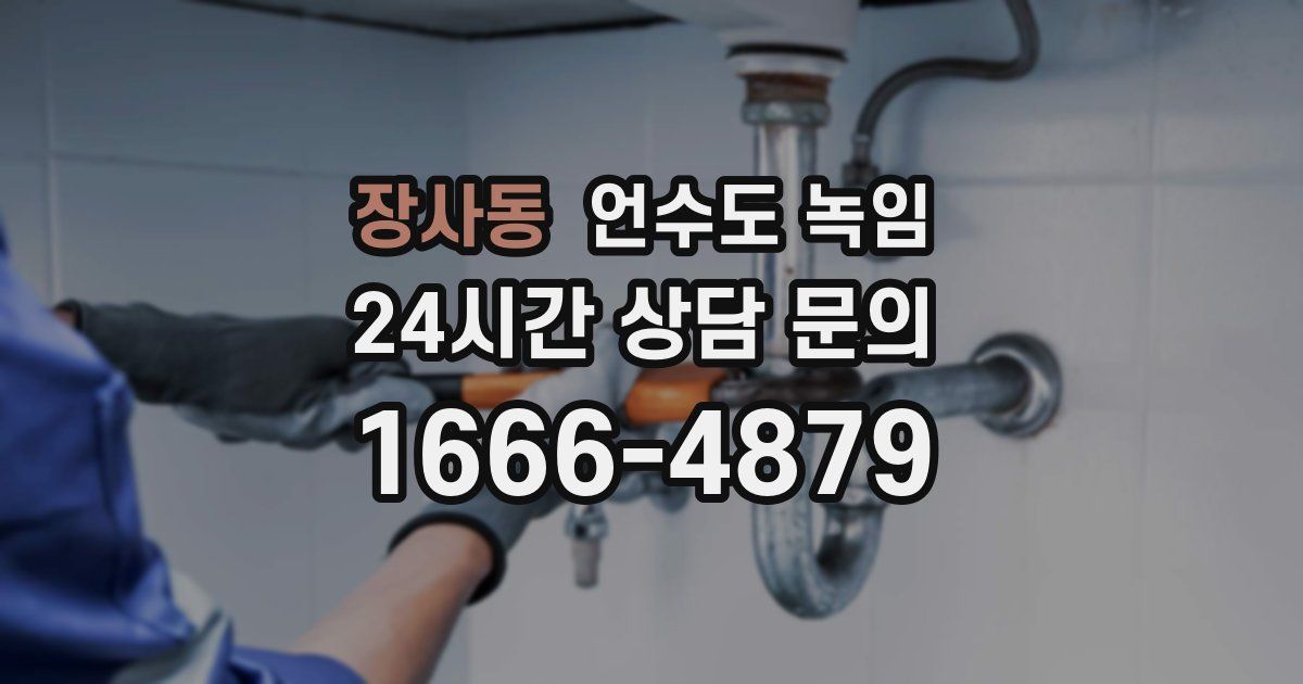 장사동 언수도 녹임