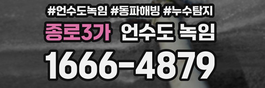 종로3가 언수도 녹임