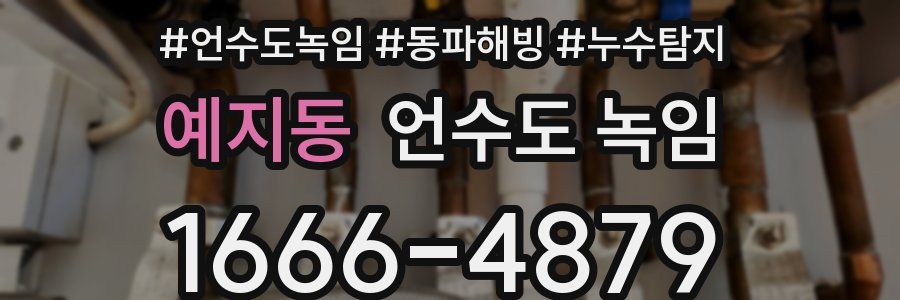 예지동 언수도 녹임