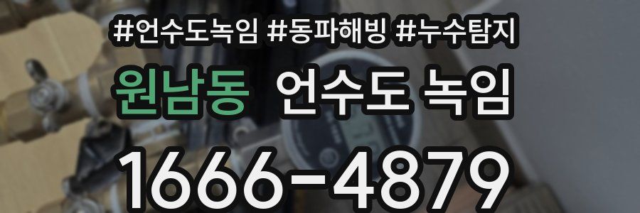 원남동 언수도 녹임