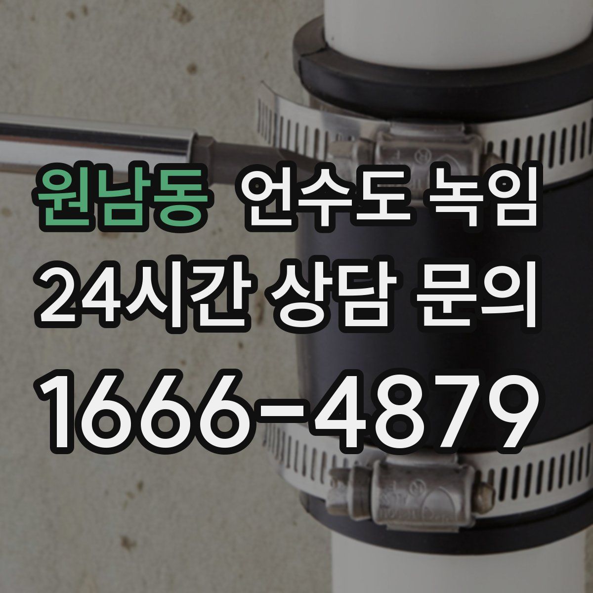 원남동 언수도 녹임