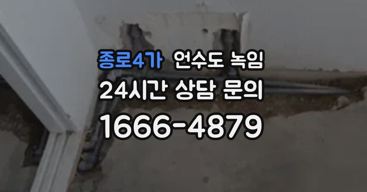 종로4가 언수도 녹임