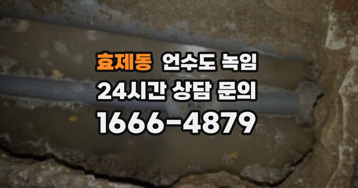 효제동 언수도 녹임