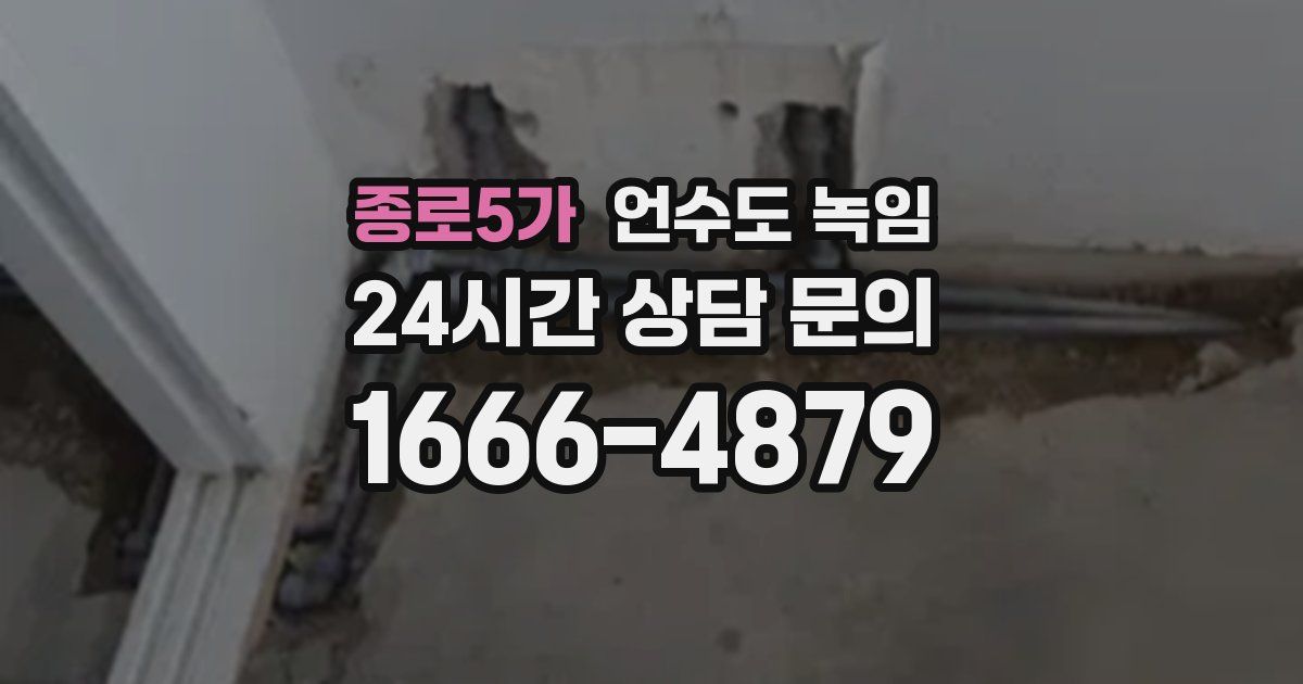 종로5가 언수도 녹임