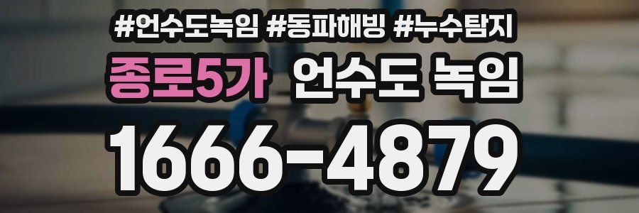 종로5가 언수도 녹임