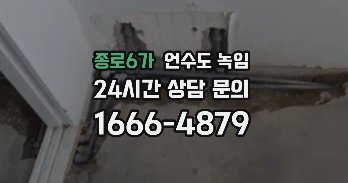 종로6가 언수도 녹임