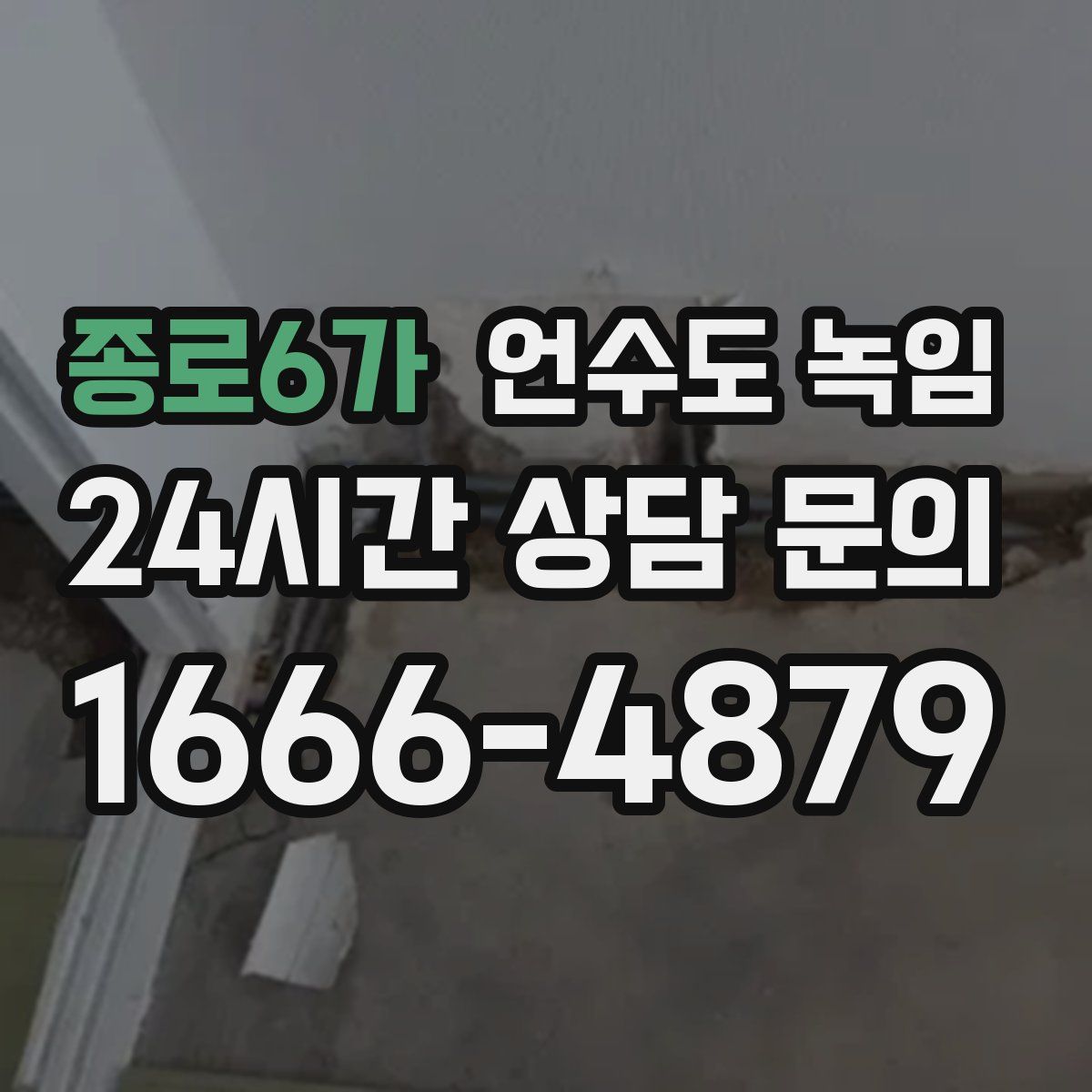 종로6가 언수도 녹임