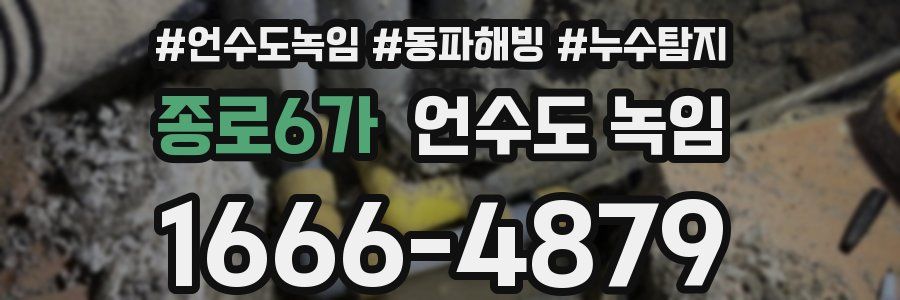 종로6가 언수도 녹임