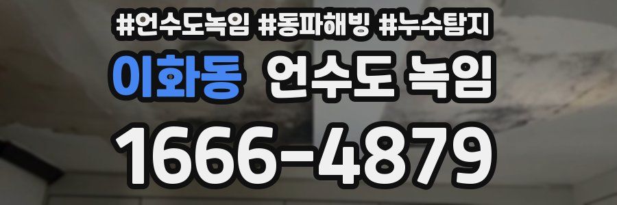 이화동 언수도 녹임