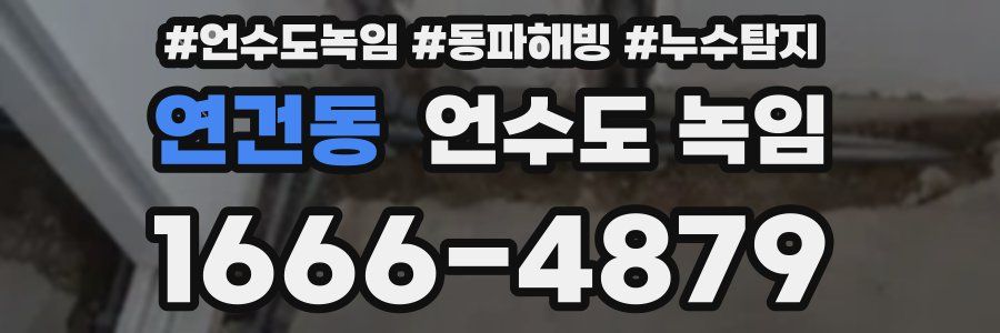 연건동 언수도 녹임