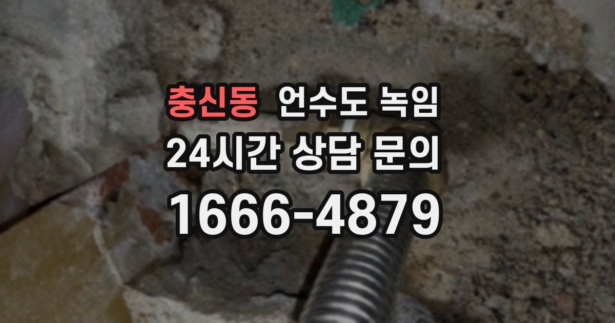 충신동 언수도 녹임