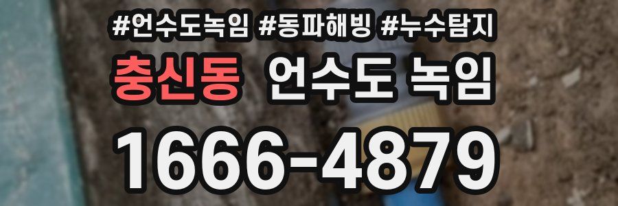 충신동 언수도 녹임