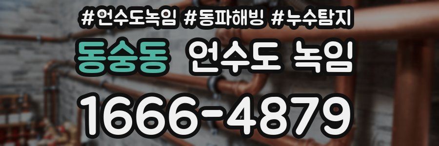 동숭동 언수도 녹임