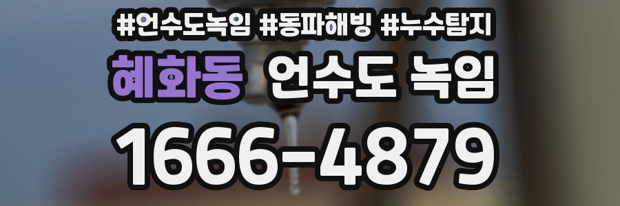 혜화동 언수도 녹임