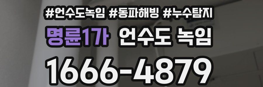 명륜1가 언수도 녹임