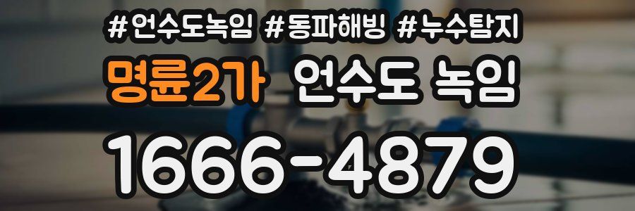 명륜2가 언수도 녹임