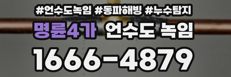 명륜4가 언수도 녹임