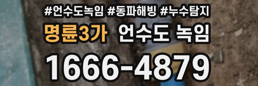 명륜3가 언수도 녹임