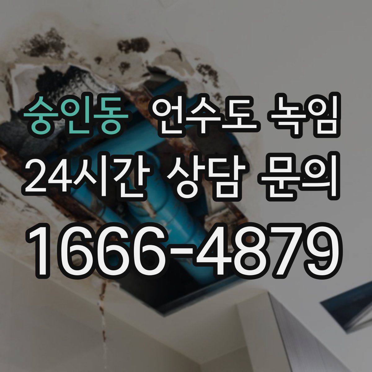 숭인동 언수도 녹임